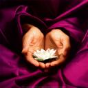 lotus-in-hands.jpg
